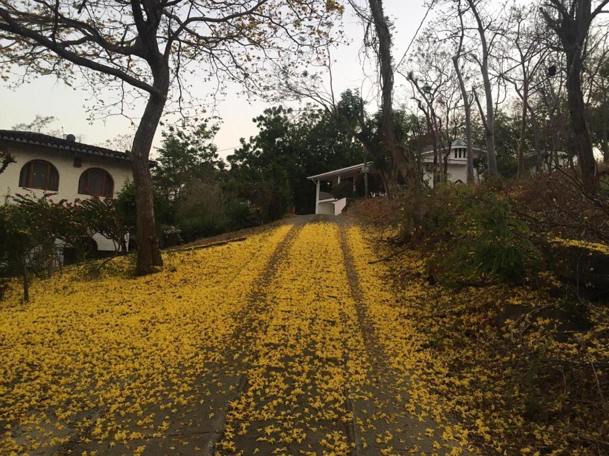 מלון סן חואן דל סור El Jardin מראה חיצוני תמונה