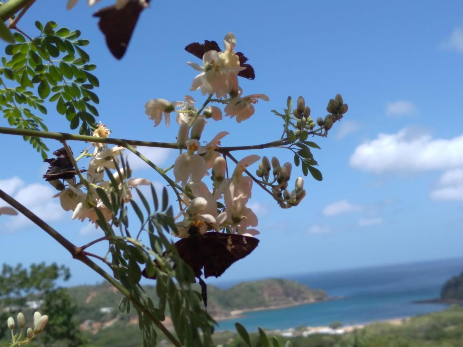 מלון סן חואן דל סור El Jardin מראה חיצוני תמונה