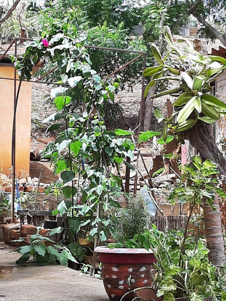 מלון סן חואן דל סור El Jardin מראה חיצוני תמונה